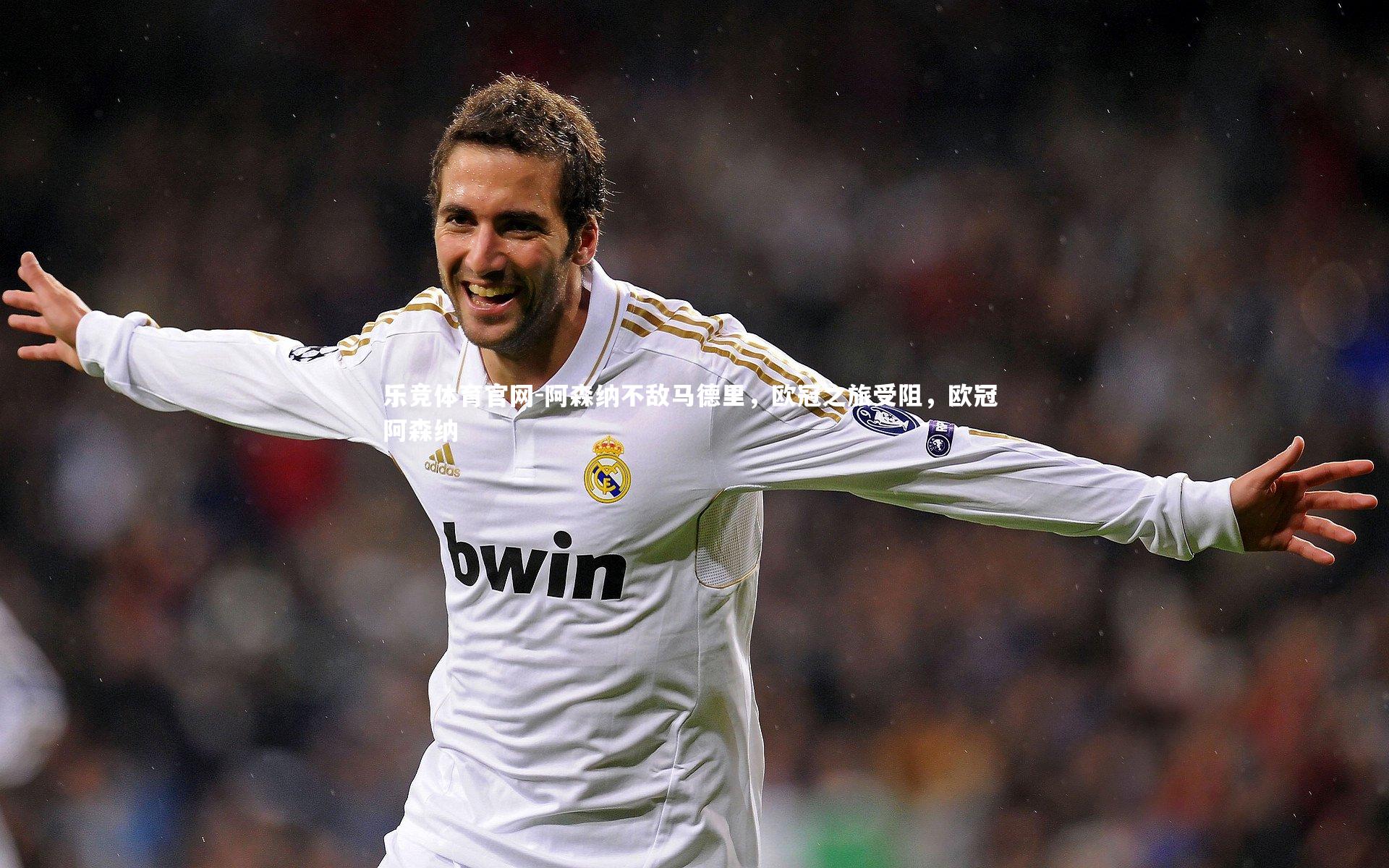 阿森纳不敌马德里，欧冠之旅受阻，欧冠 阿森纳